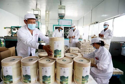 谷香飄萬里，增收靠大米 大額資金如何助力產業(yè)騰飛
